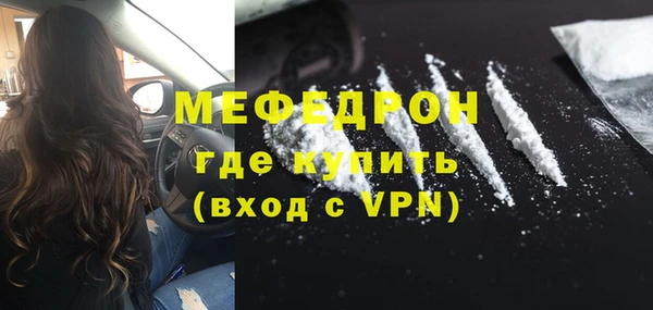 хмурый Аркадак