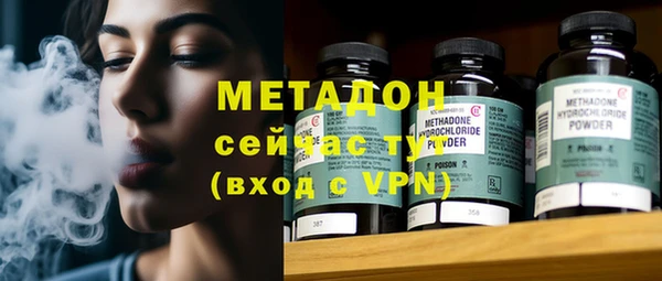 хмурый Аркадак