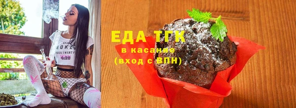 хмурый Аркадак