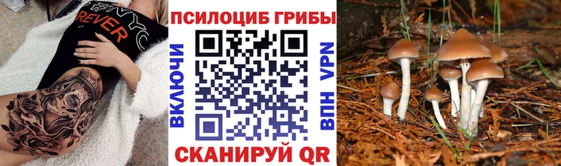 Псилоцибиновые грибы GOLDEN TEACHER  Калининец 