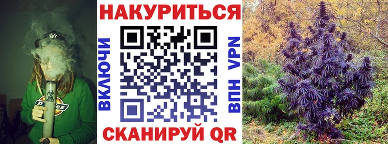 Шишки марихуана конопля  Калининец 
